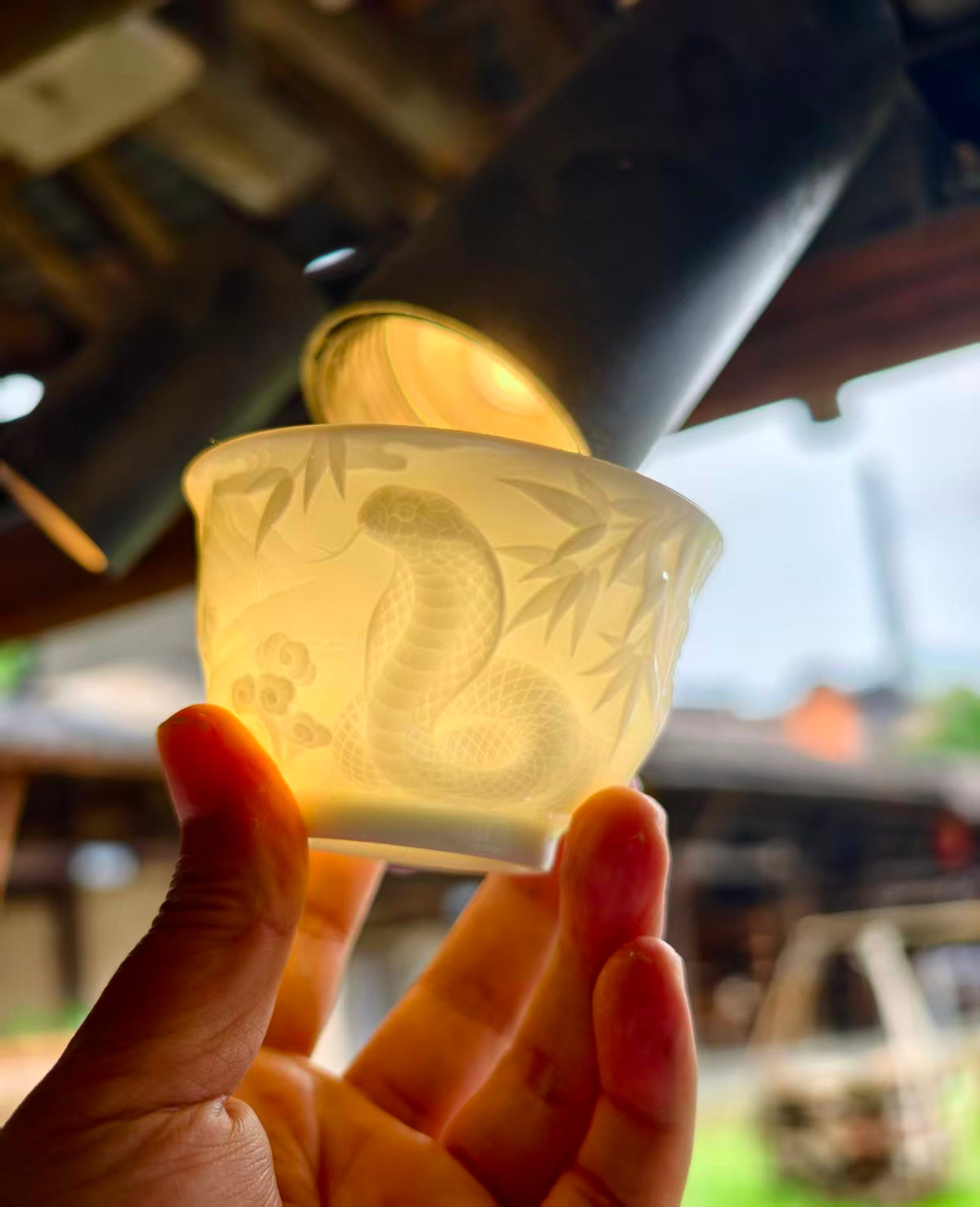 Hand-carved Snake Chinese Zodiac porcelain tea cup by Yan Wenlu illuminated to reveal the relief